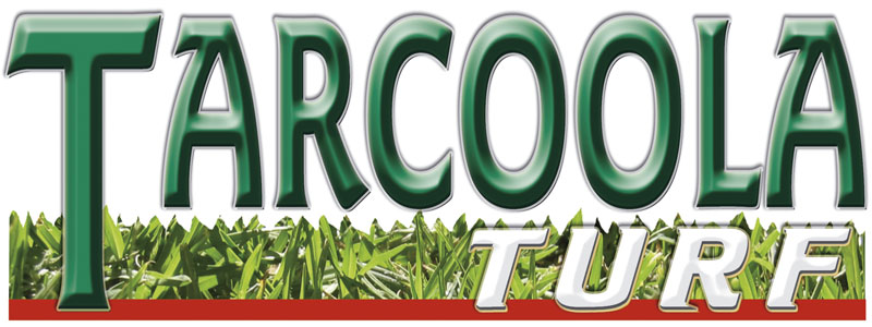 tarcoola